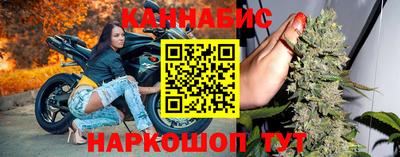 шишки Будённовск