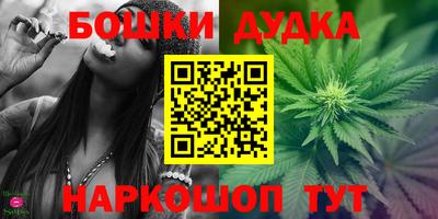 шишки Будённовск